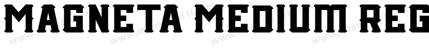 Magneta Medium Regul字体转换